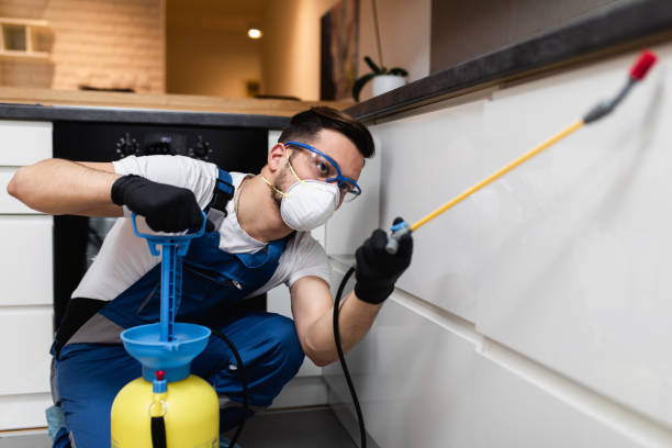 Best Bed Bug Extermination  in Newk, AR