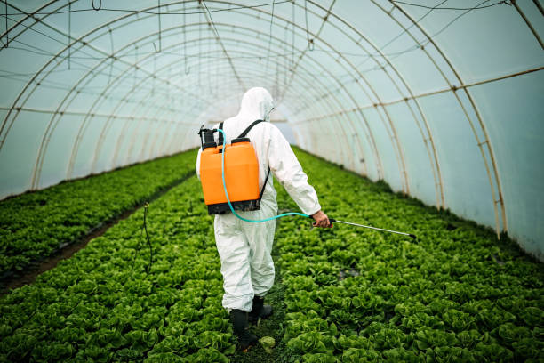 Best Affordable Pest Control Services  in Newk, AR
