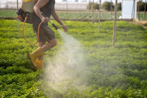 Best Residential Pest Control  in Newk, AR
