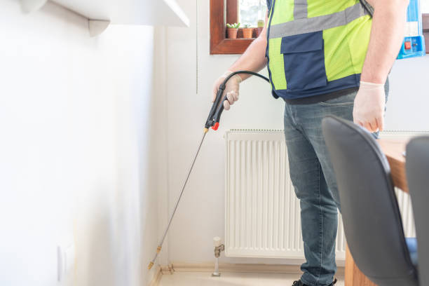 Best Termite Control Services  in Newk, AR