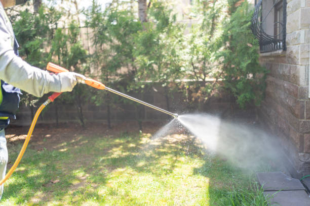 Best Bed Bug Extermination  in Newk, AR