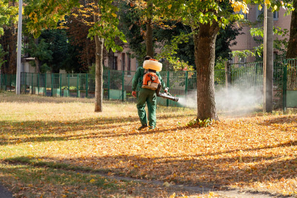 Best Pest Control Near Me  in Newk, AR