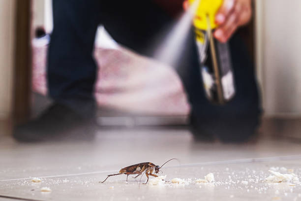 Best Best Pest Control Companies  in Newk, AR