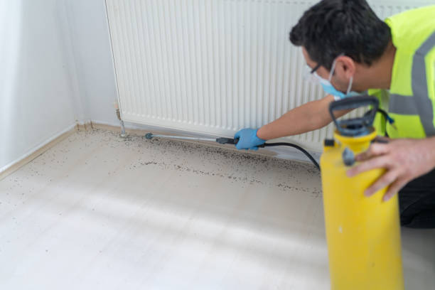 Best Mosquito Control Services  in Newk, AR
