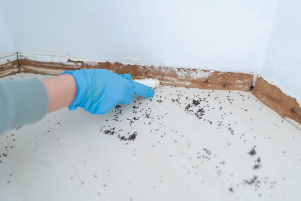 Best Exterminator Services  in Newk, AR